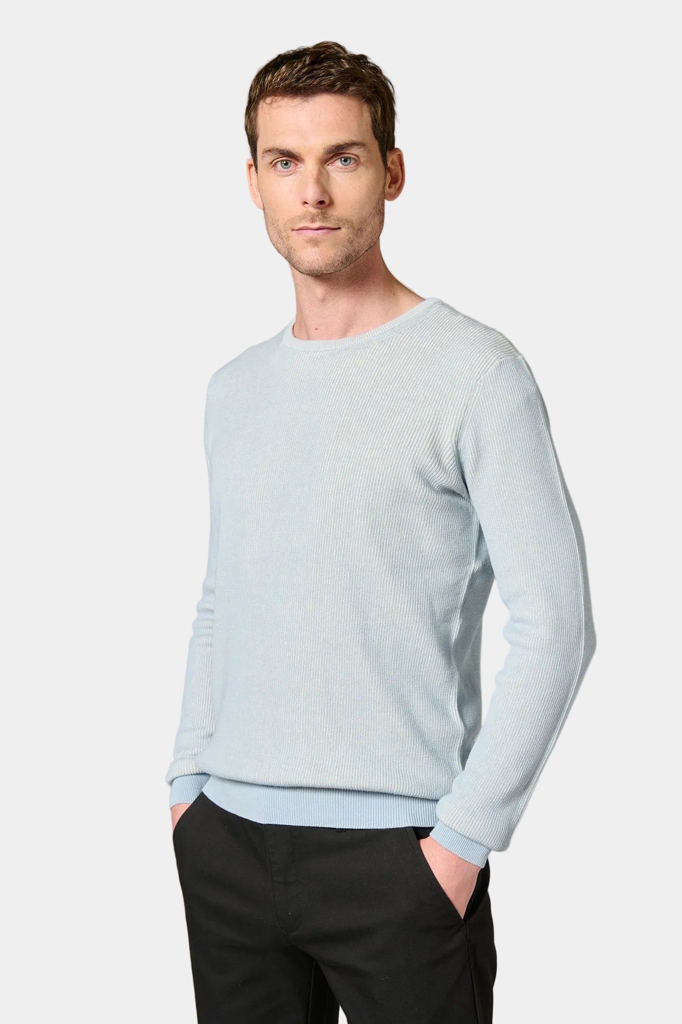 Pull col rond effet bicolore Jerem, coupe droite
