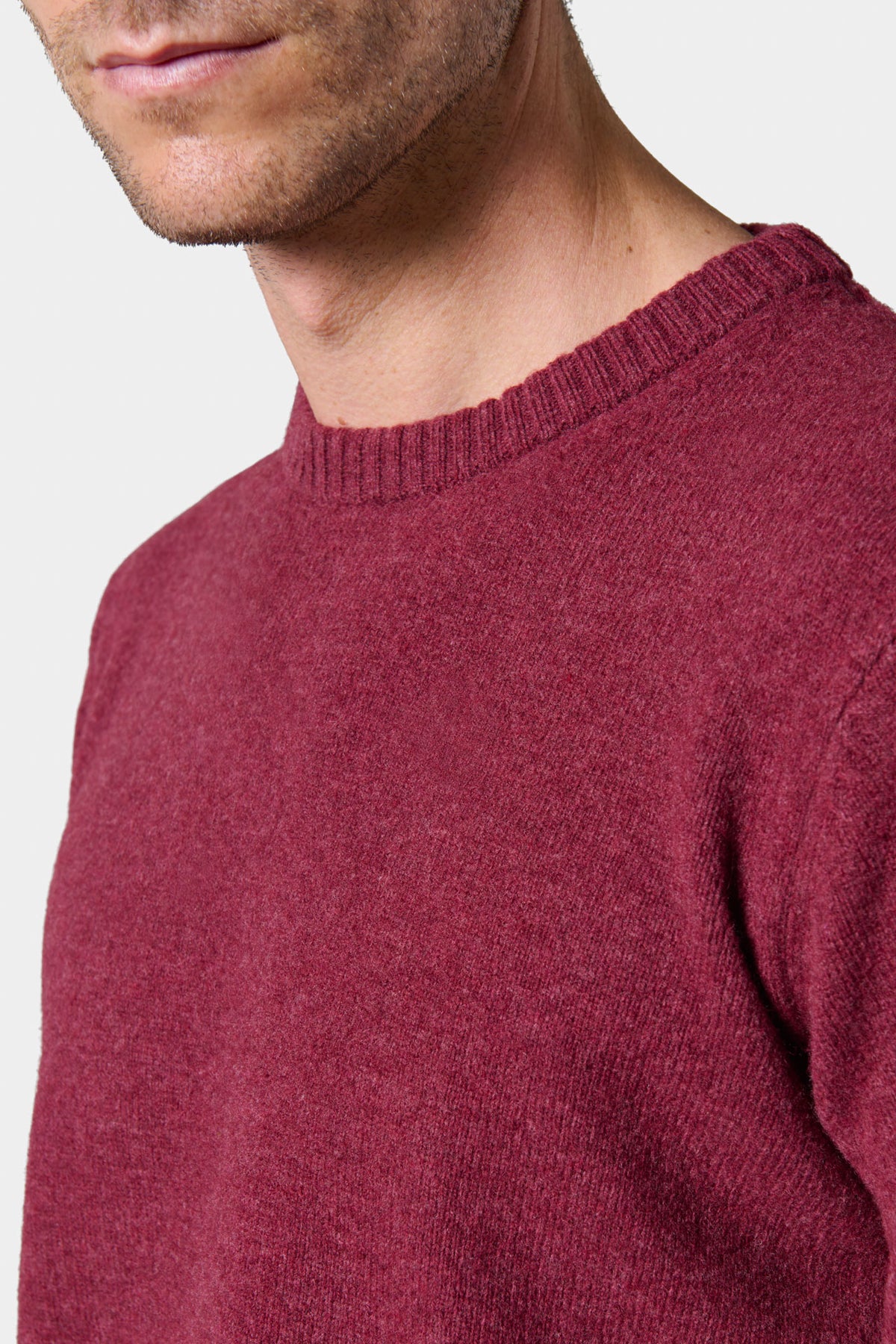 Jersey de cuello redondo en pura lana de cordero
